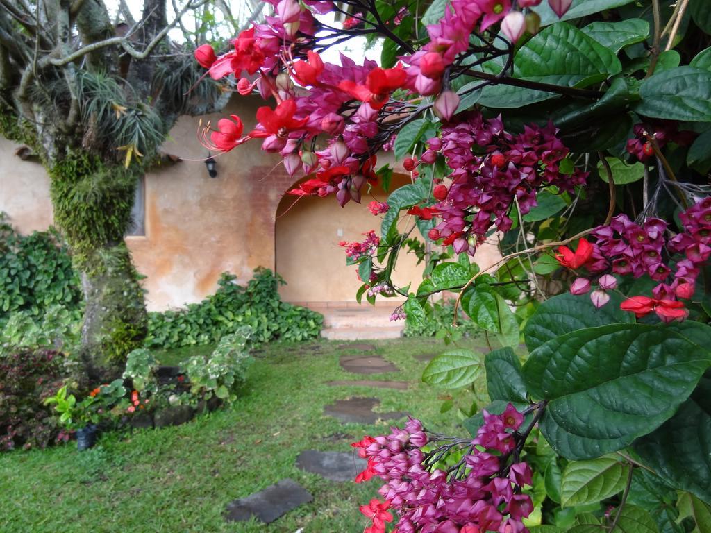 Valle Primavera Hotel Bajo Bajo Boquete Exterior foto